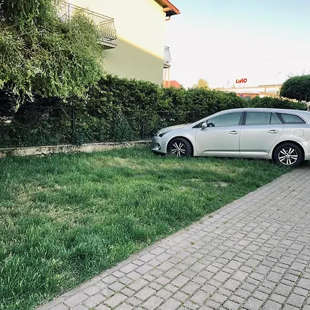 Leona Ostrowo (Puck)